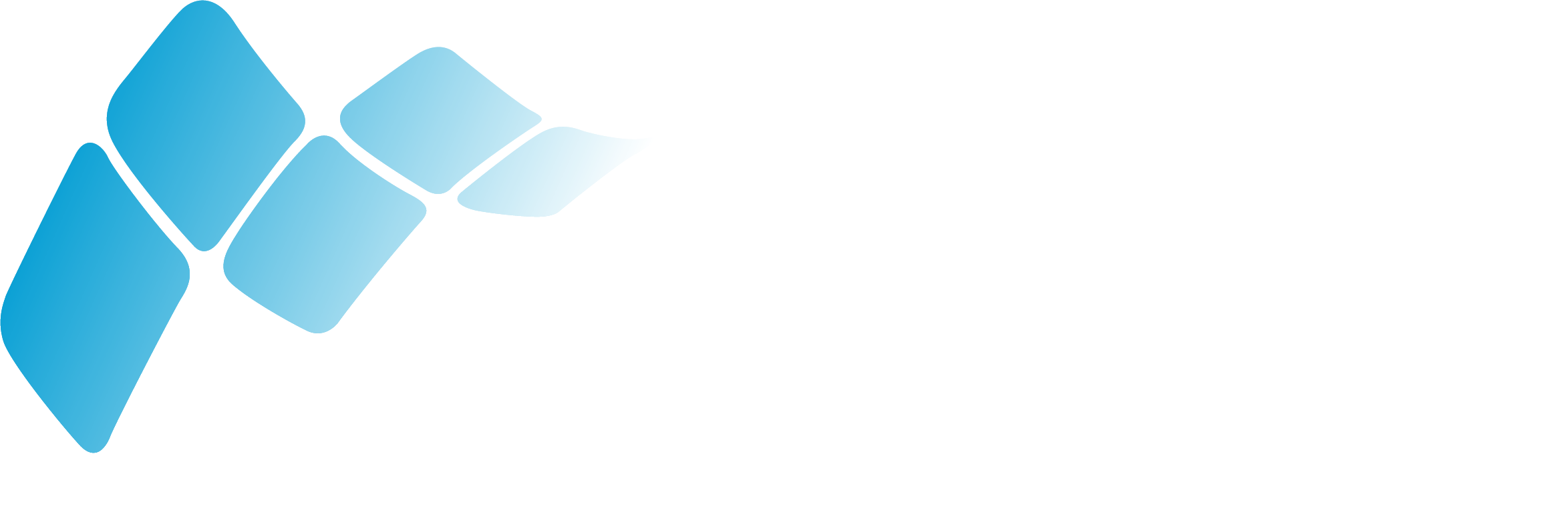 Figes Web Form Yönetim Sistemi
